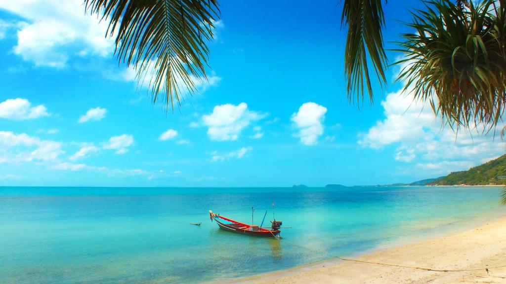 แบล็คแอนด์ไวท์ บังกะโล หาดริ้น ภายนอก รูปภาพ